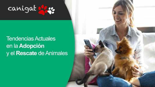 Tendencias Actuales en la Adopción y el Rescate de Animales