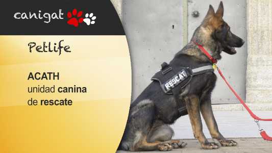 ACATH unidad canina de rescate