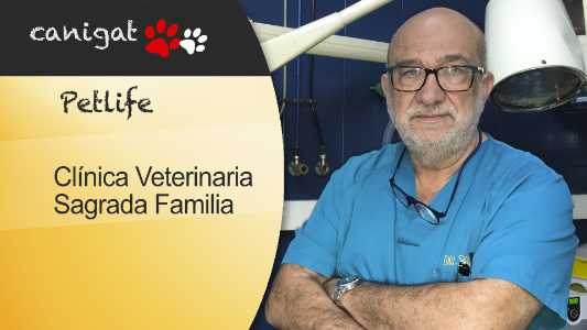 clínica veterinaria Sagrada Familia