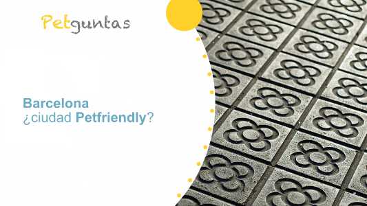 ¿Barcelona Petfriendly?