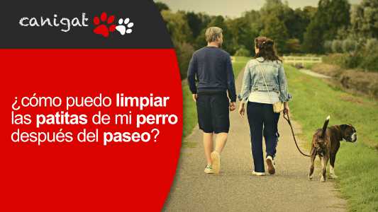 ¿cómo puedo limpiar las patitas de mi perro después del paseo?