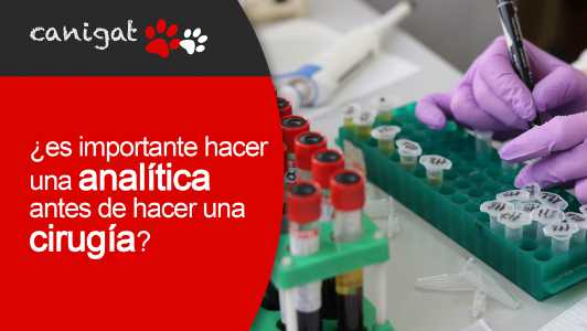 ¿es importante hacer una analitica antes de hacer una cirugía?