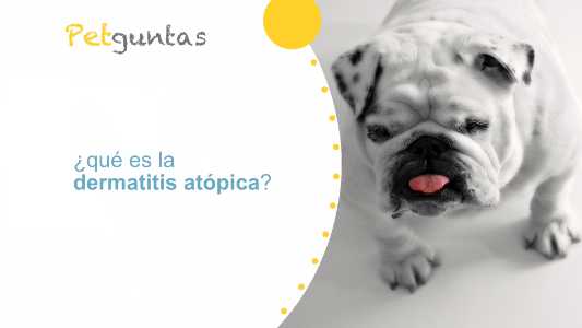 ¿qué es la dermatitis atópica?