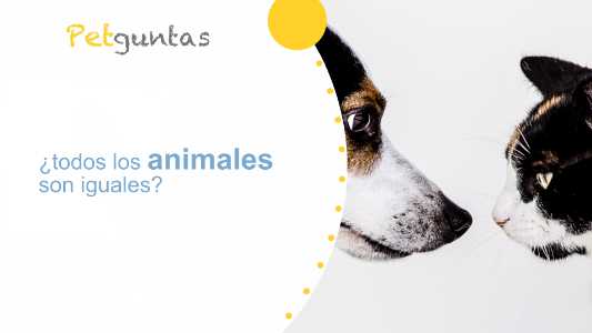 ¿todos los animales son iguales?