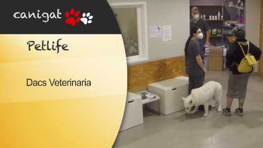 Dacs Veterinaria