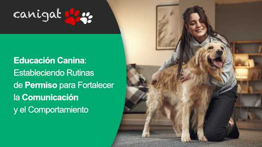 Educación Canina: Estableciendo Rutinas de Permiso para Fortalecer la Comunicación y el Comportamiento