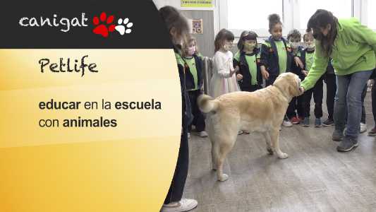 educar en la escuela con animales