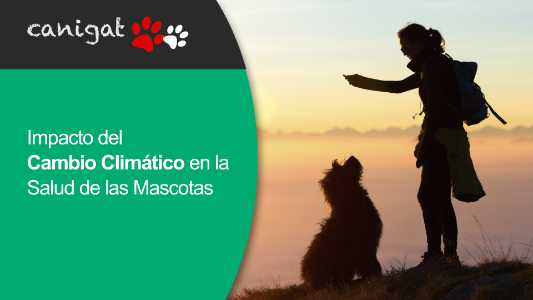 Impacto del Cambio Climático en la Salud de las Mascotas