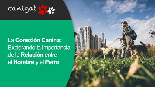 La Conexión Canina- Explorando la Importancia de la Relación entre el Hombre y el Perro