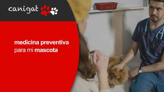 medicina preventiva para mi mascota